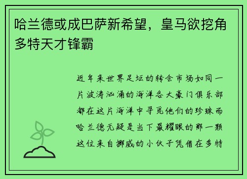 哈兰德或成巴萨新希望，皇马欲挖角多特天才锋霸